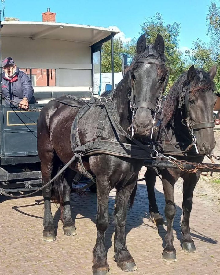 Wenkeamer van Ternaard 