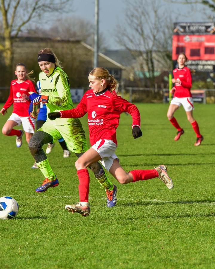 Meisjesteam MO-13 Ternaard/Holwerd promoveert naar hoofdklasse