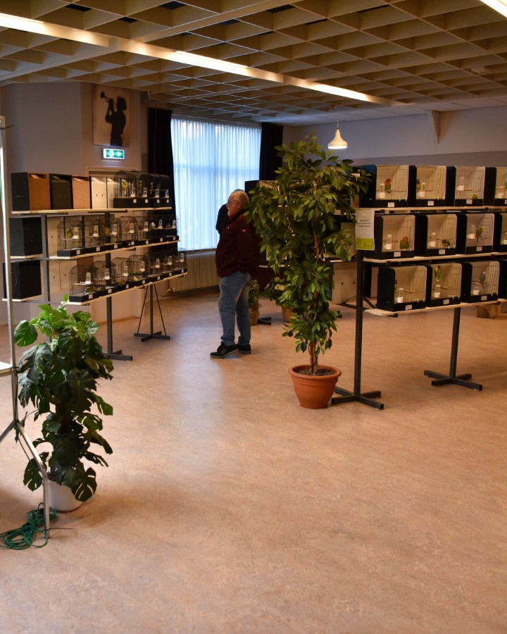 Kampioenen bij vogelshow Zang en Kleur