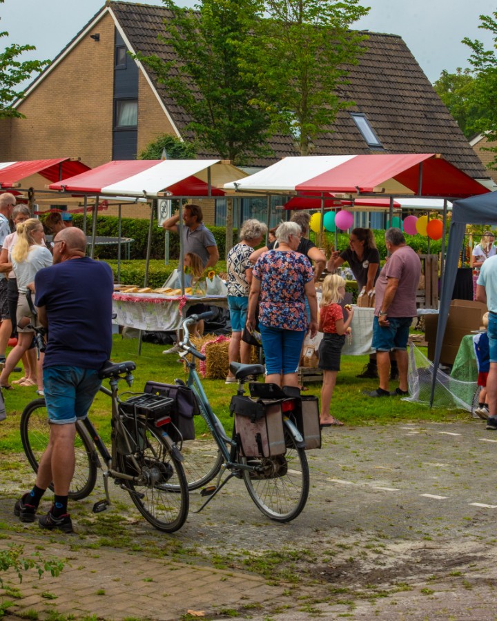 Twirre streekmarkt strijkt neer in Ternaard