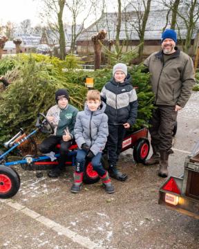 Ternaard zamelt kerstbomen in